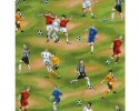 Soccer Football Players ball